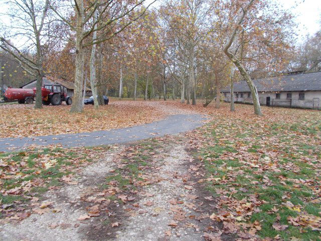 Eladó mezogazdasagi ingatlan, Sümegen 460 M Ft