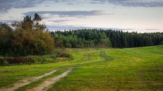 Eladó ipari ingatlan, Zalacsányon 1.7 M Ft / költözzbe.hu