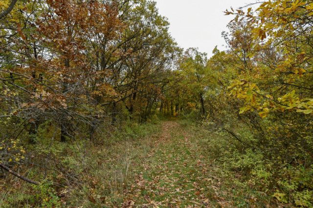 Eladó telek, Pécselyen 19.99 M Ft / költözzbe.hu