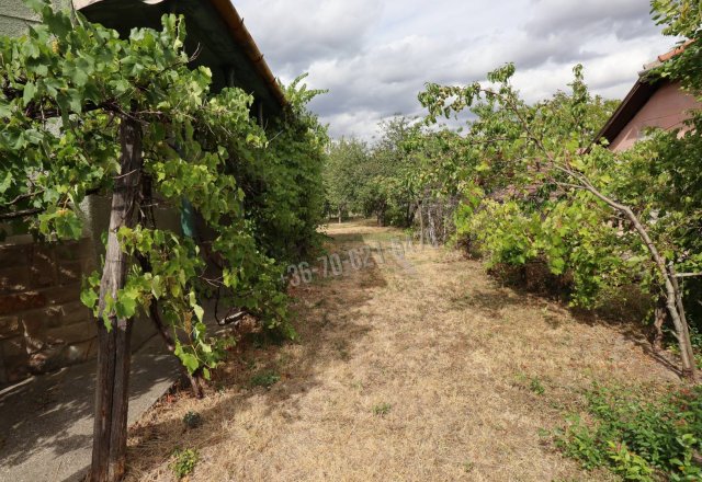Eladó családi ház, Diósjenőn 39.9 M Ft, 3 szobás
