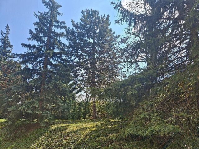 Eladó téglalakás, Budapesten, II. kerületben 142 M Ft