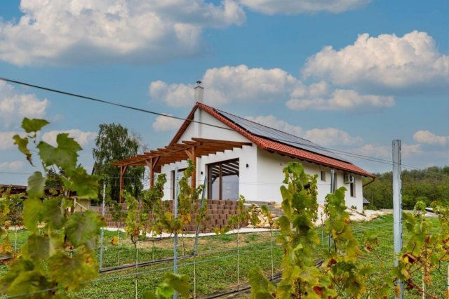 Eladó családi ház, Kőröshegyen 149 M Ft, 3 szobás