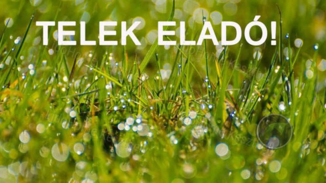 Eladó telek, Keszthelyen 41.9 M Ft / költözzbe.hu