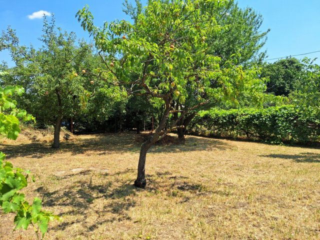 Eladó nyaraló, Balatonakarattyán 59.9 M Ft, 3 szobás