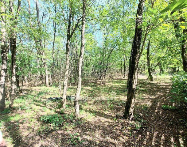 Eladó családi ház, Kecskeméten 124.9 M Ft, 1+4 szobás