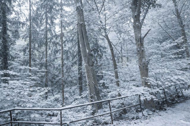 Eladó telek, Budapesten, XII. kerületben 680 M Ft