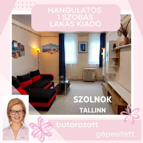 Kiadó téglalakás, albérlet, Szolnokon 100 E Ft / hó, 1 szobás