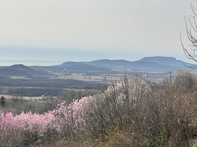 Eladó telek, Monoszlón 40 M Ft / költözzbe.hu