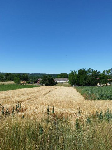 Eladó telek, Tényőn 13.5 M Ft / költözzbe.hu