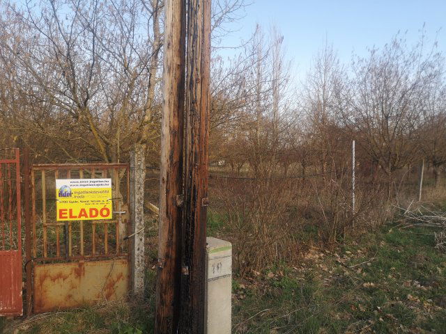 Eladó mezogazdasagi ingatlan, Gyulán 15.9 M Ft