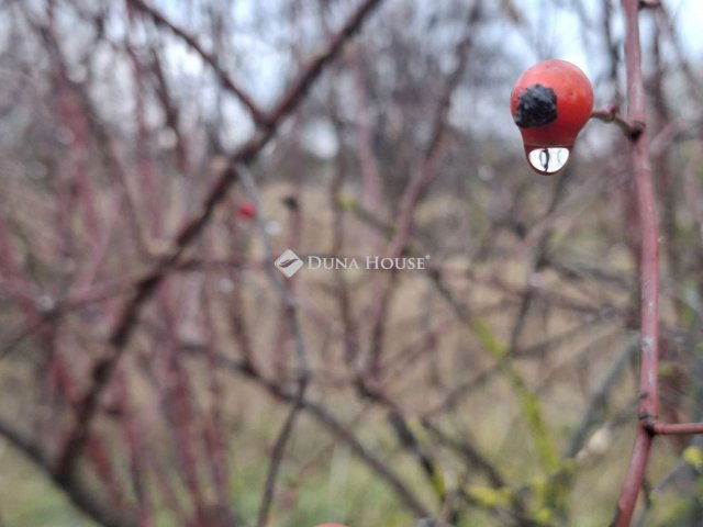Eladó telek, Hatvanban 17 M Ft / költözzbe.hu