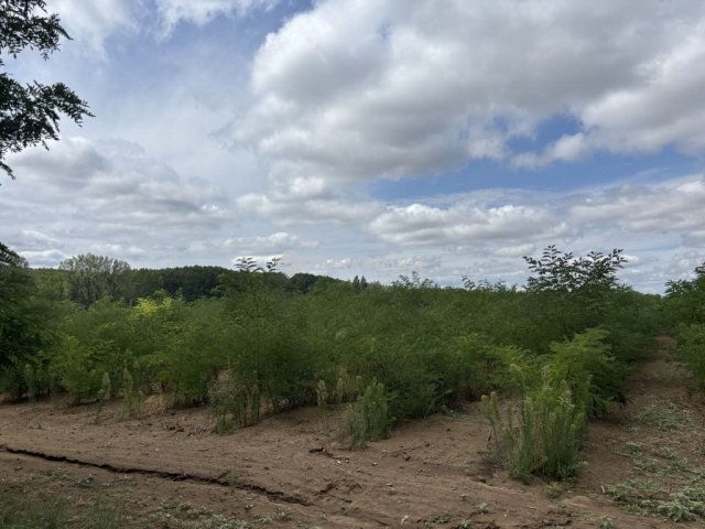 Eladó telek, Monoron 67 M Ft / költözzbe.hu