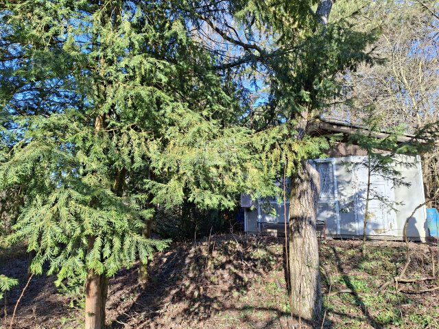 Eladó telek, Budakeszin 29.9 M Ft / költözzbe.hu