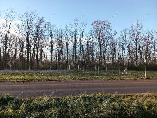 Eladó ipari ingatlan, Szolnokon 54.9 M Ft / költözzbe.hu