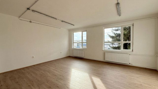 Kiadó iroda, Debrecenben 210 E Ft / hó, 3 szobás