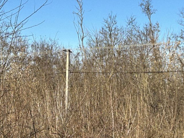 Eladó telek, Dabason 30 M Ft / költözzbe.hu