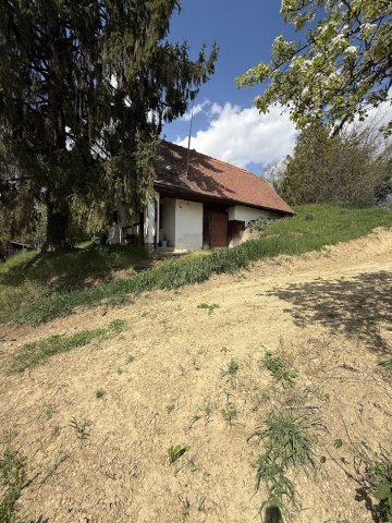 Eladó mezogazdasagi ingatlan, Dombóváron 11 M Ft