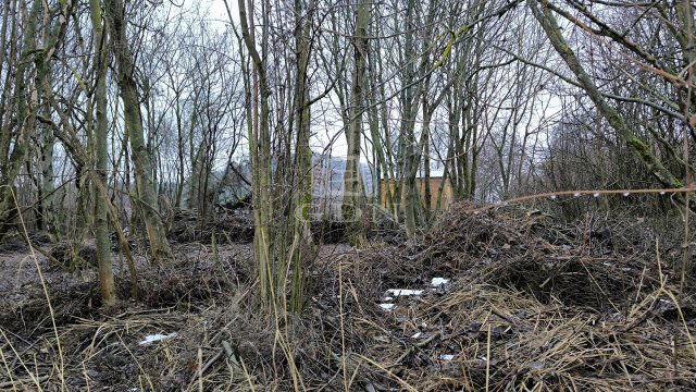 Eladó telek, Dunabogdányban 24.9 M Ft / költözzbe.hu