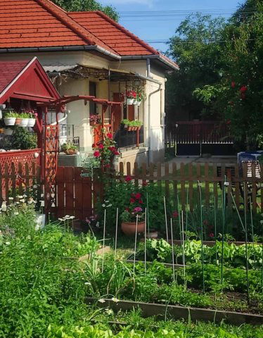 Eladó családi ház, Ercsiben 66.5 M Ft, 3 szobás