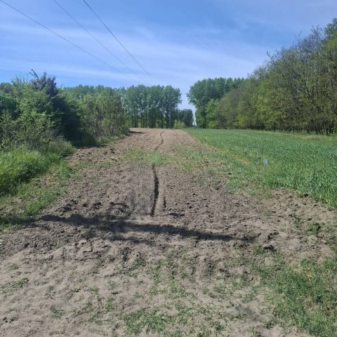 Eladó mezogazdasagi ingatlan, Albertirsán, Kakasi dűlőn 2.5 M Ft