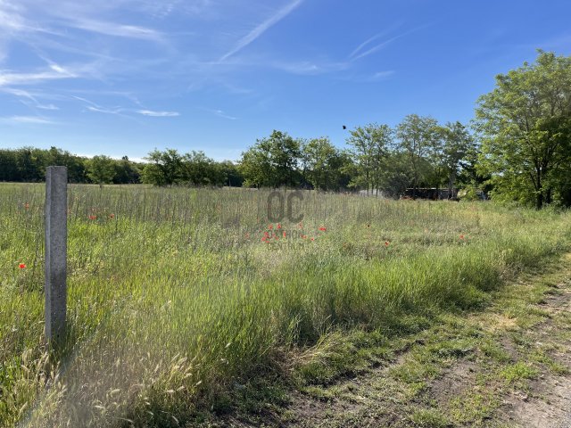 Eladó mezogazdasagi ingatlan, Abonyban 5 M Ft