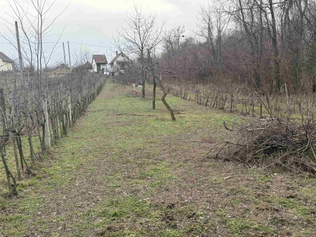 Eladó mezogazdasagi ingatlan, Kisbéren 11 M Ft, 1 szobás