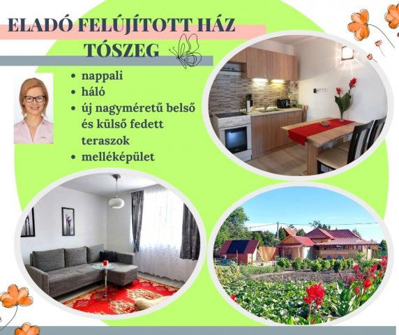 Eladó családi ház, Tószegen 38.99 M Ft, 2 szobás