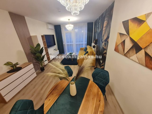 Kiadó panellakás, albérlet, Pécsett 260 E Ft / hó, 2 szobás