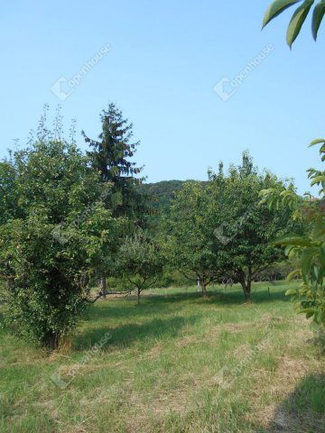 Eladó családi ház, Zalaegerszegen 16.5 M Ft, 1 szobás