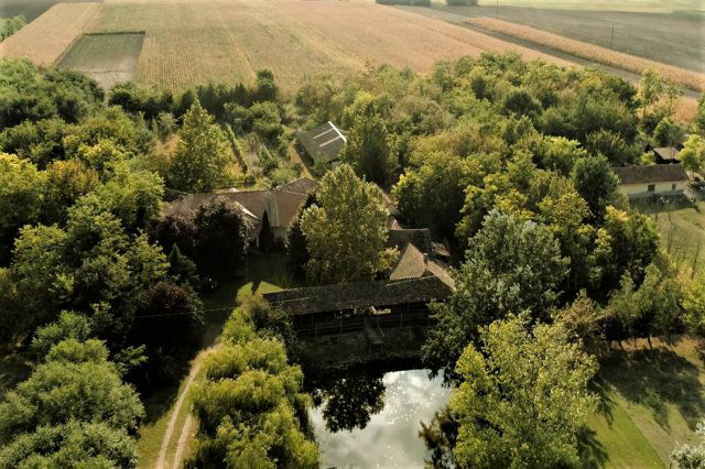 Eladó mezogazdasagi ingatlan, Mórahalmon 125 M Ft