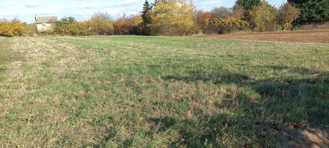 Eladó telek, Csákváron 6 M Ft / költözzbe.hu