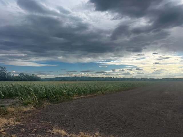 Eladó mezogazdasagi ingatlan, Szomódon 5.8 M Ft