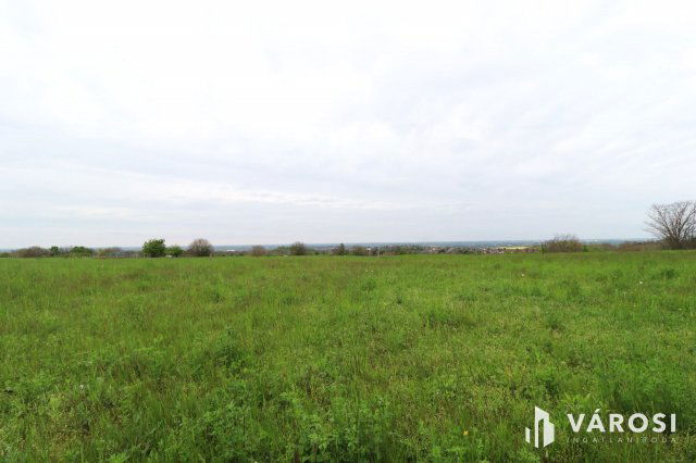 Eladó mezogazdasagi ingatlan, Győrött 16 M Ft