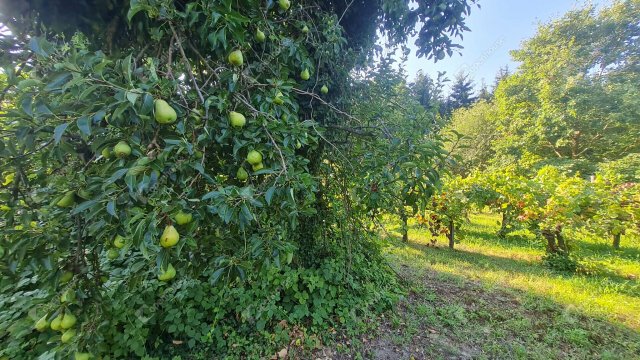 Eladó nyaraló, Zalakaroson 16.99 M Ft, 2 szobás