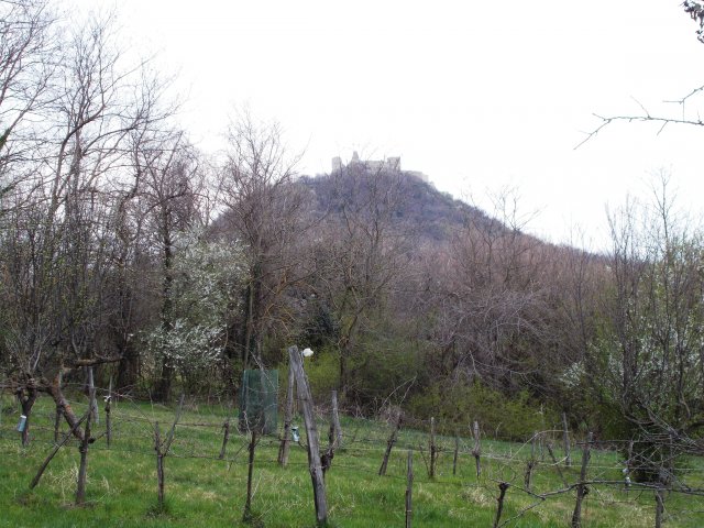 Eladó telek, Szigligeten 60 M Ft / költözzbe.hu