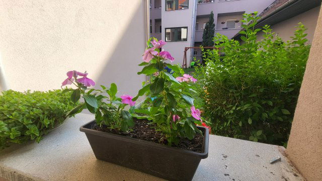 Kiadó téglalakás, albérlet, Egerben 160 E Ft / hó, 2 szobás