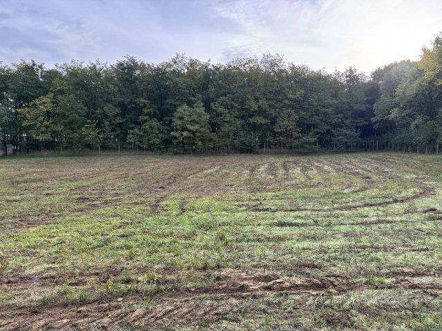 Eladó telek, Nyíregyházán 25.5 M Ft / költözzbe.hu