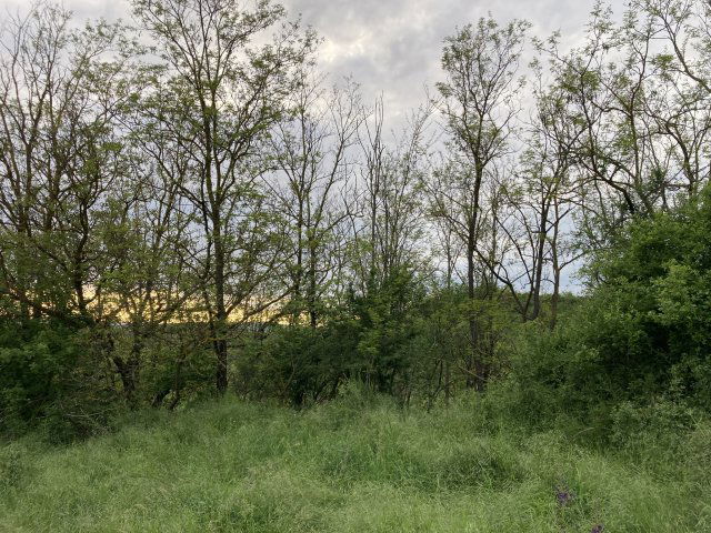 Eladó telek, Kisecseten 9.25 M Ft / költözzbe.hu