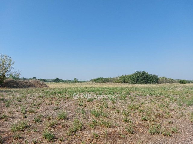 Eladó családi ház, Ruzsán 18.5 M Ft, 2 szobás