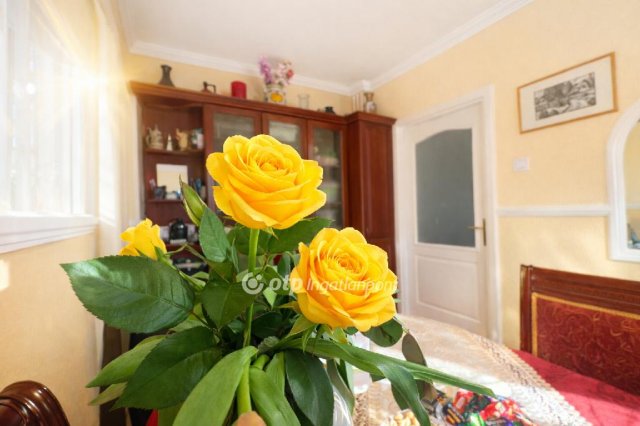 Eladó téglalakás, Debrecenben 72 M Ft, 1+2 szobás