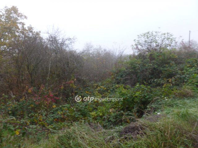 Eladó telek, Zalahalápon 9.9 M Ft / költözzbe.hu