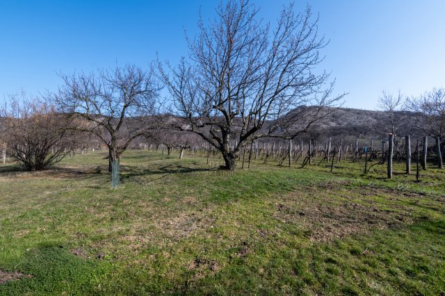 Eladó családi ház, Csákberényben 36.5 M Ft, 2 szobás