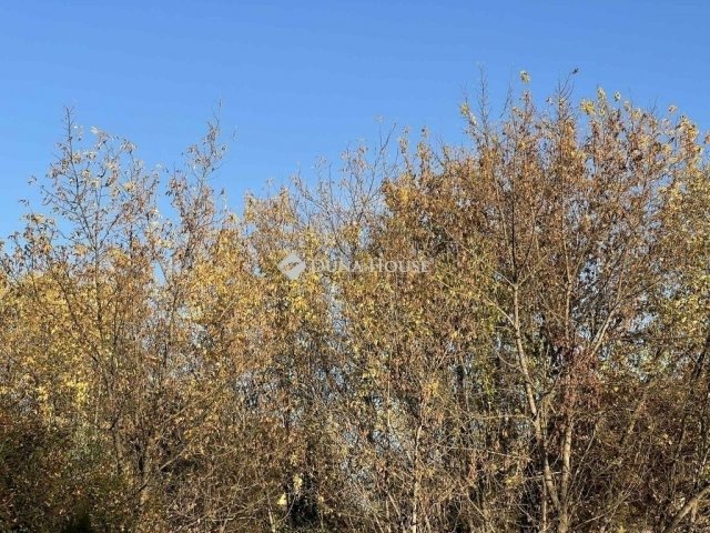 Eladó telek, Szegeden 11 M Ft / költözzbe.hu