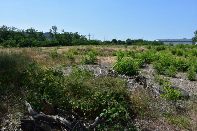 Eladó telek, Gyálon 180 M Ft / költözzbe.hu