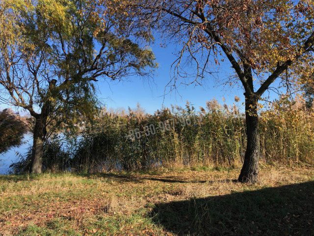 Eladó telek, Békésen 5 M Ft / költözzbe.hu