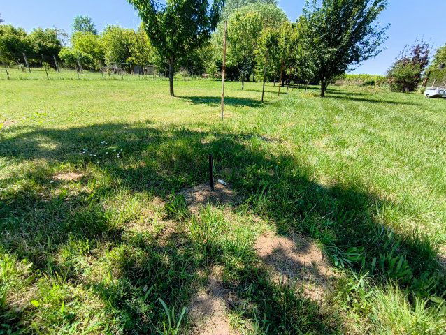 Eladó mezogazdasagi ingatlan, Mezőberényben 6.99 M Ft