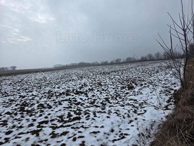 Eladó mezogazdasagi ingatlan, Peresztegen 19 M Ft