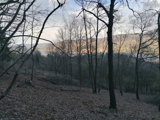 Eladó telek, Nagymaroson 29 M Ft / költözzbe.hu