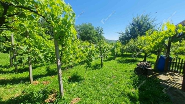 Eladó nyaraló, Letenyén 3.49 M Ft, 1 szobás