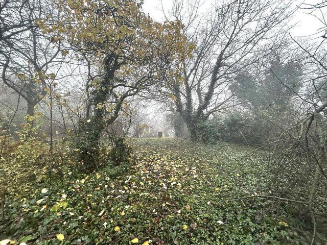 Eladó telek, Mogyoródon 16.9 M Ft / költözzbe.hu